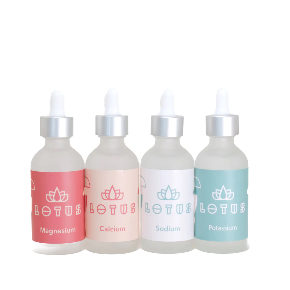 LOTUS COFFEE BREW WATER KIT